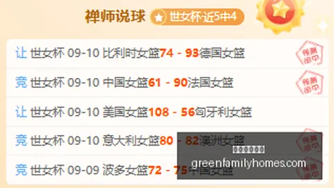 霍芬海姆客场逆袭门兴：2-1战报解析，不可错过的胜利瞬间